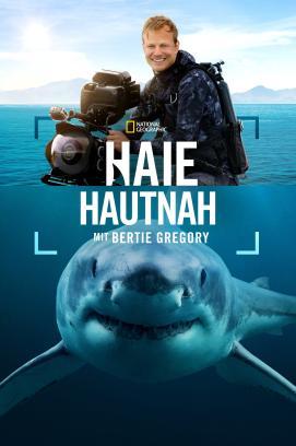 Haie hautnah mit Bertie Gregory stream