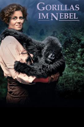 Gorillas im Nebel stream