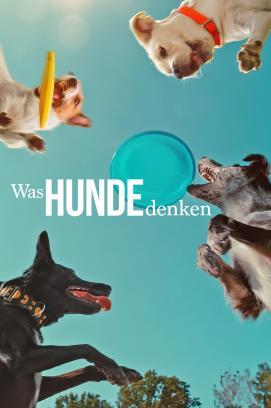 Was Hunde denken stream