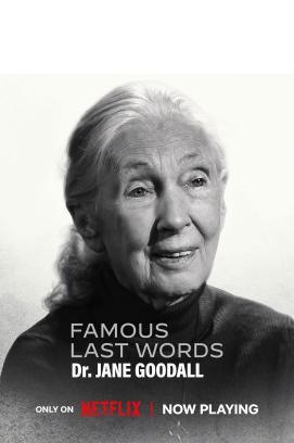 Famous Last Words - Staffel 1 *English* stream