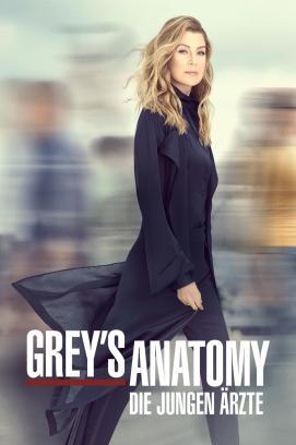 Grey's Anatomy - Staffel 22 stream