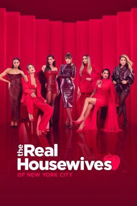 The Real Housewives of New York City - Staffel 16 *English* stream