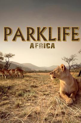 Parklife: Afrika - Staffel 1